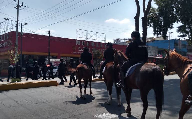 Caballos de la policía montada de Toluca son fundamentales para patrullajes y operativos