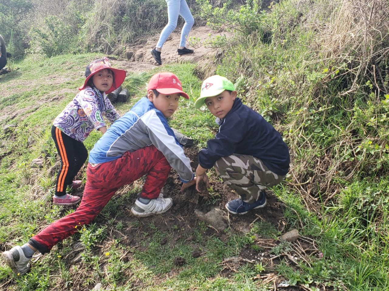 Campaña de reforestación de Toluca llega a pintar de vida a Calixtlahuaca