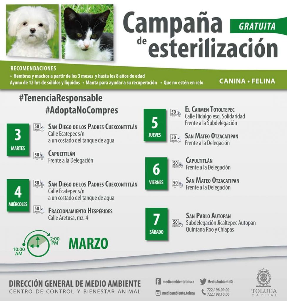 ¿Dónde estará la campaña gratuita de esterilización canina y felina esta semana?