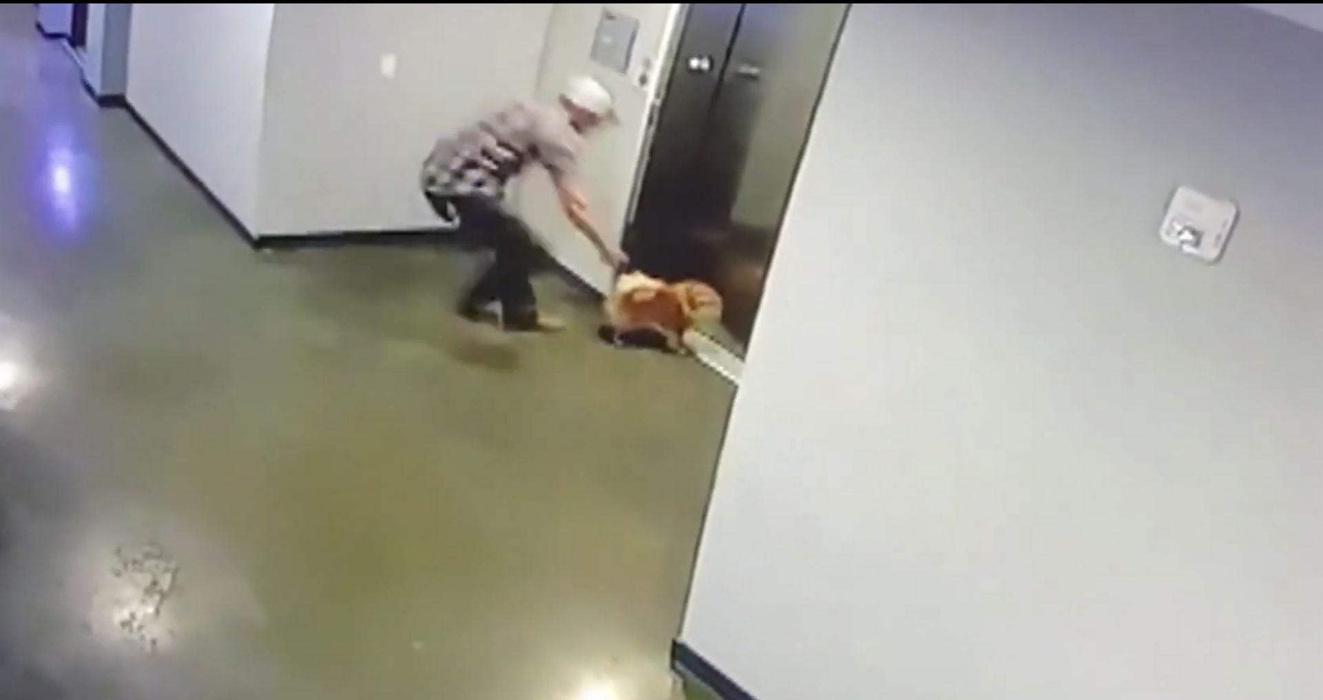 VIDEO||Salvan a perro de morir estrangulado en elevador