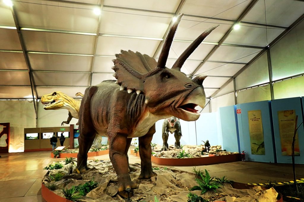 Se despide Museo Itinerante "Gigantes del Desierto"