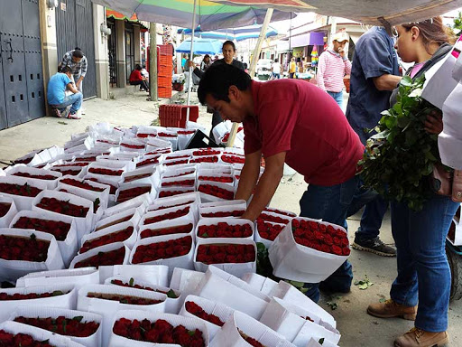 Floricultores del EdoMéx rematan o tiran su mercancía por falta de clientes por Covid-19