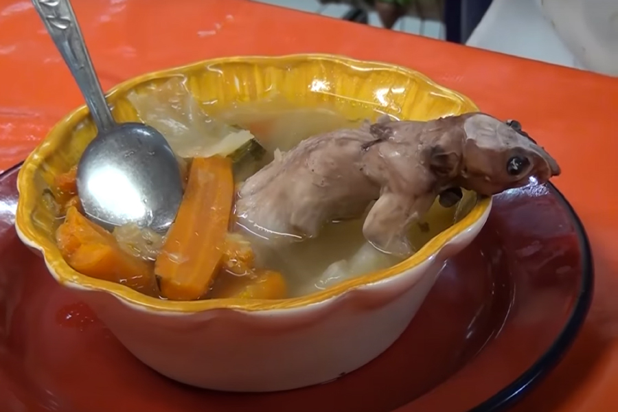 VIDEO || Conoce el mexicano caldo de rata de campo