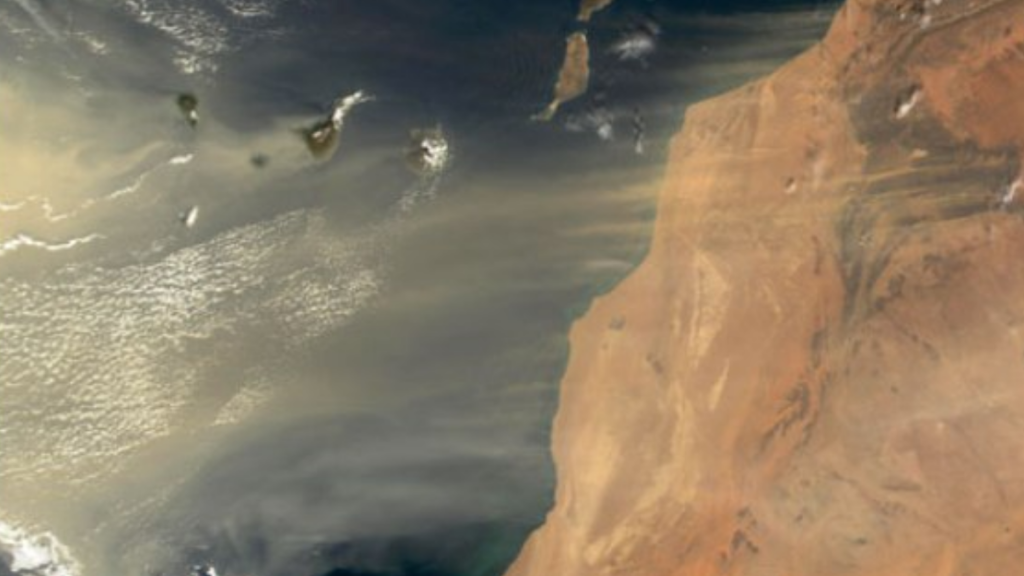 La "Nube de polvo del Sahara" llegó a México desde el día 24 de junio y se estará afectando a varios estados del país.