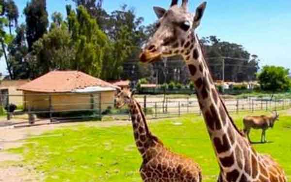 Qué Parques y Zoológicos del Edomex abrirán este 23 de junio