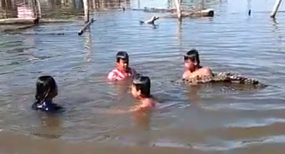 Su papá graba a sus niños nadando y jugando con un cocodrilo en Asia (VIDEO)