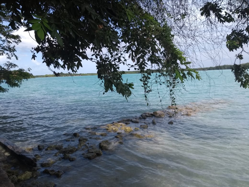 Visita la zona Sur de Quintana Roo y sus paraísos ocultos