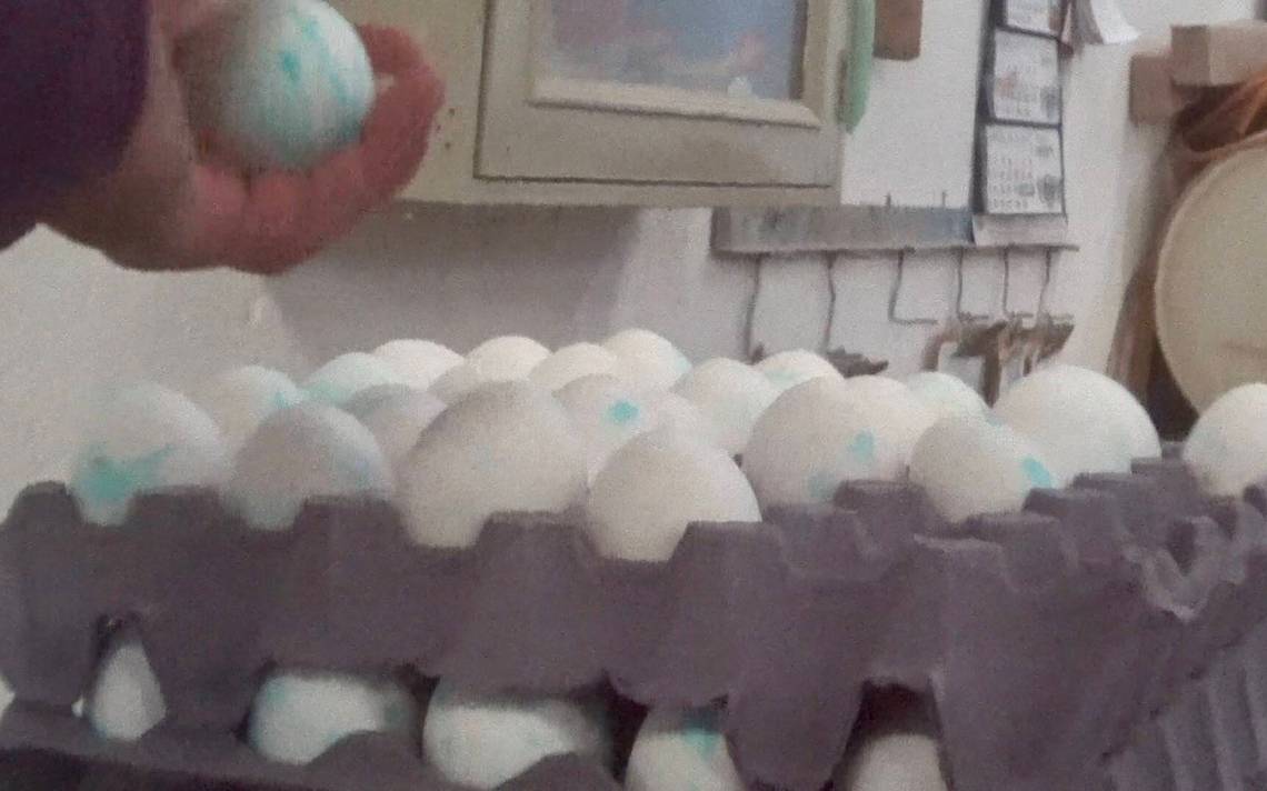 ¿Porque fue tendencia en México el tema de Huevos azules y que peligro representa?