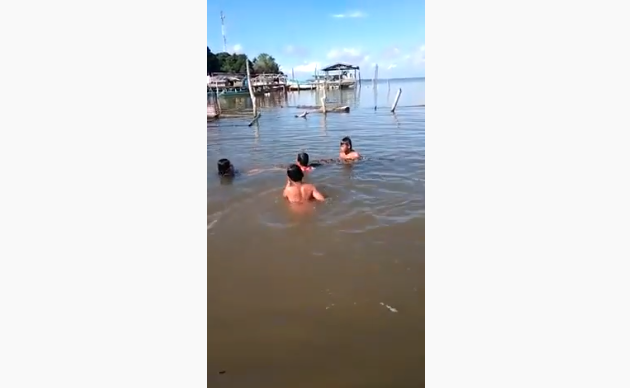 (Video) Niños nadan y juegan tranquilamente con cocodrilo de más de 2 metros