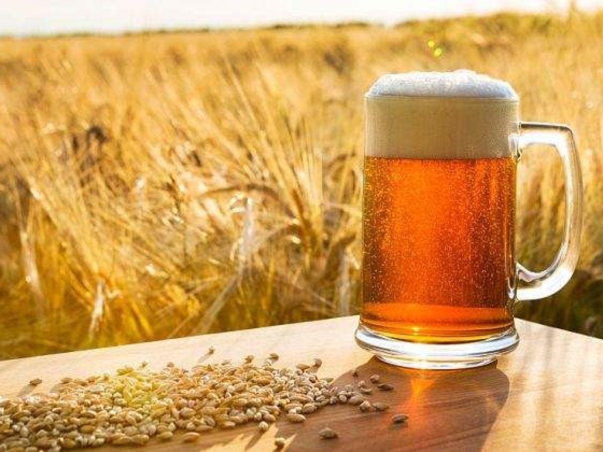 Cerveza: 7 beneficios para la salud que no conocías.