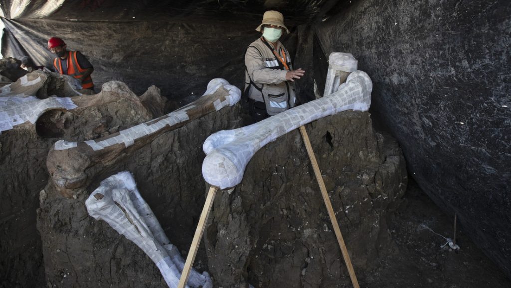 El mayor cementerio de mamuts del mundo se encuentra México