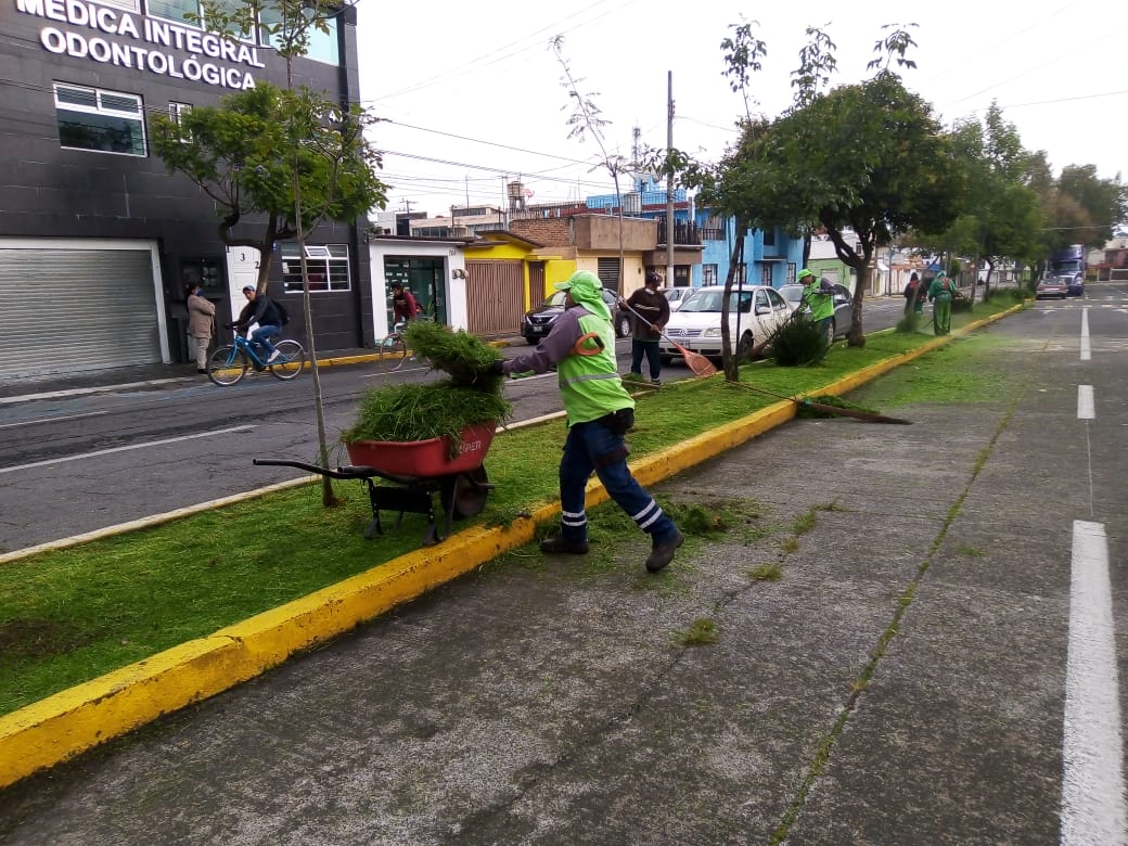 Dan mantenimiento a las áreas verdes y parques en Toluca