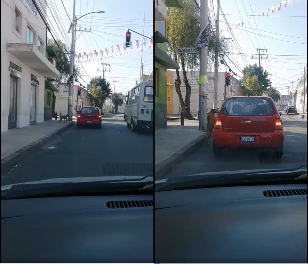 Video: Perrito persigue el carro de su dueña que lo abandonó en la calle