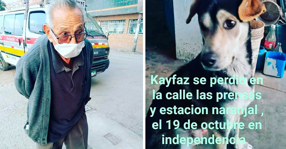 Viral: Abuelito recorre las calles en busca de su perrito perdido