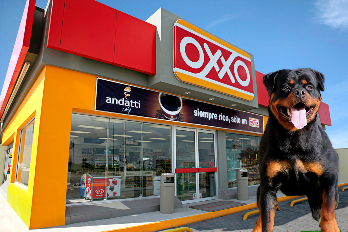 Viral: Perrito "secuestra" OXXO, tuvieron que llamar a protección civil