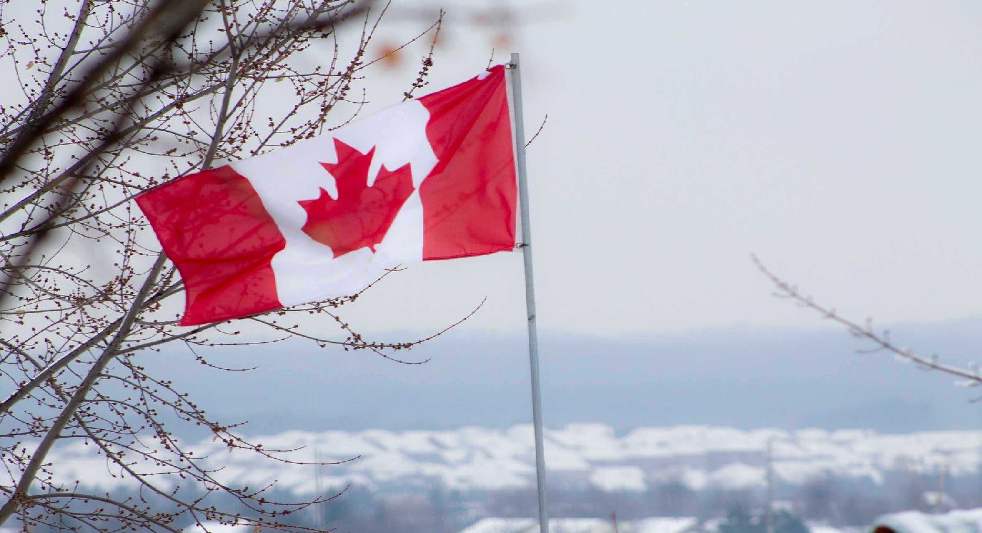 ¿Te gustaría vivir y trabajar en Canadá en 2021?, aquí te decimos cómo