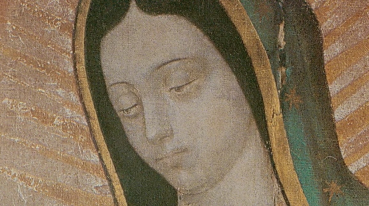 (VIDEO) Virgen de Guadalupe pide a sus fieles no asistir a la Basílica