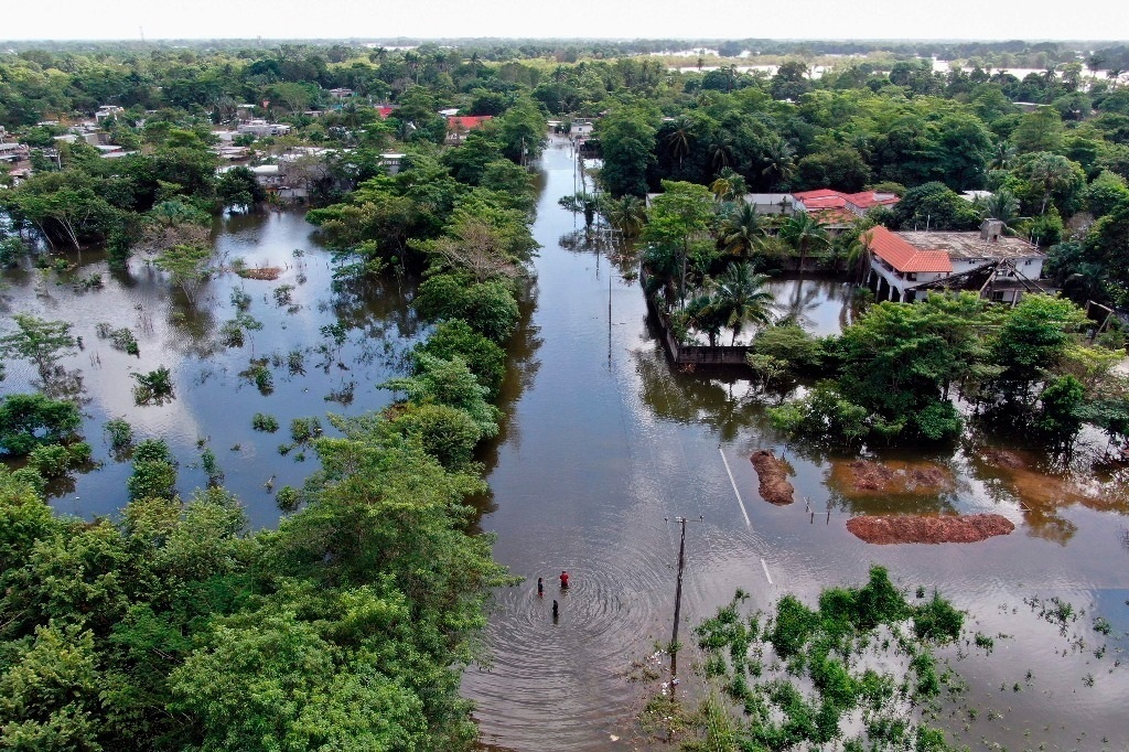Captan a cocodrilos tras inundaciones en Tabasco