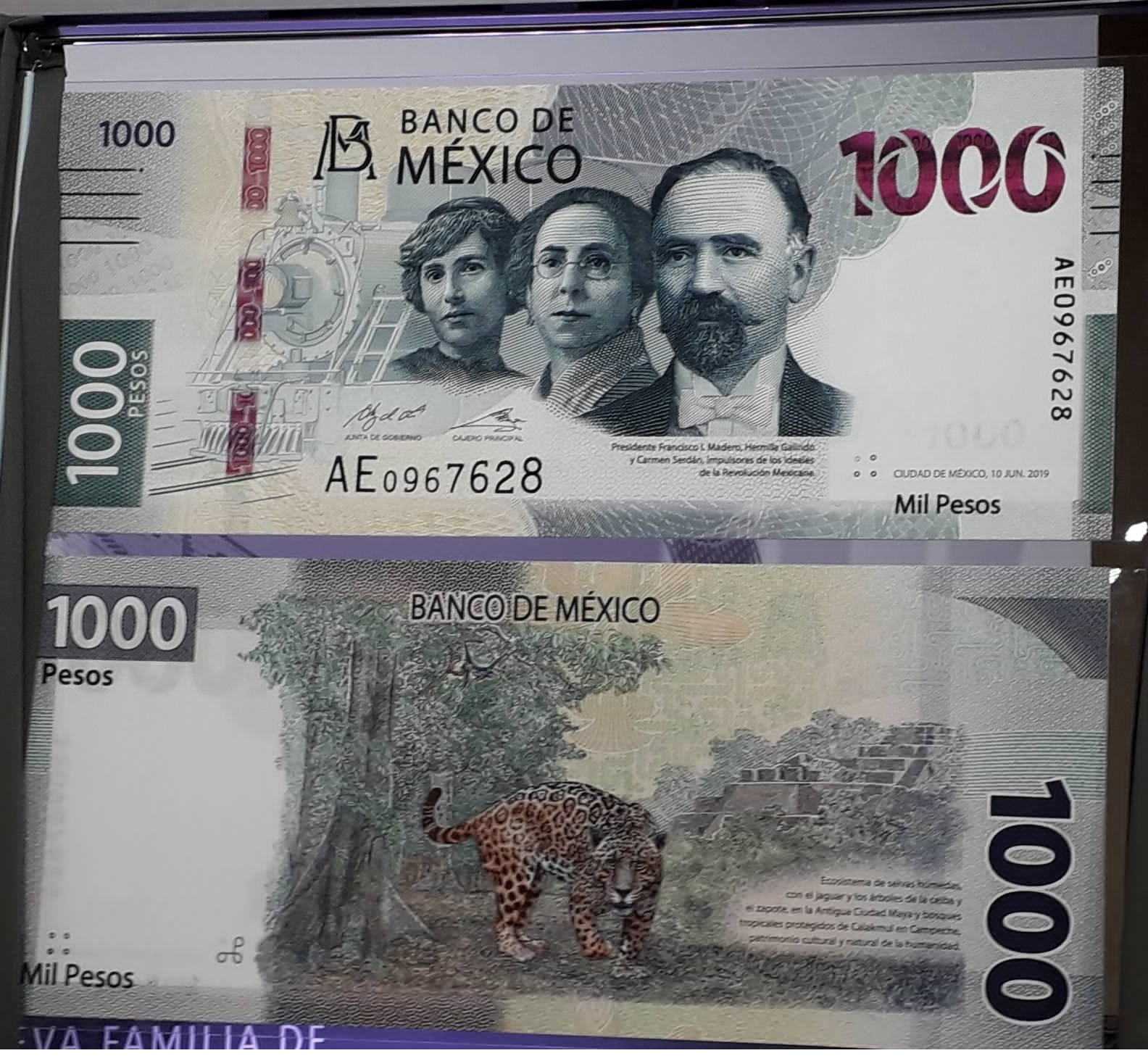 ¡Conoce el nuevo billete de mil pesos!