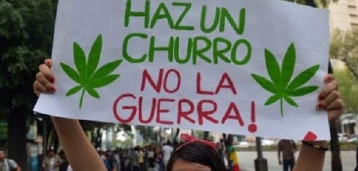 ¿Cuántos gramos de marihuana puedes traer contigo, de acuerdo con la nueva despenalización en México? Aquí te dejamos la información