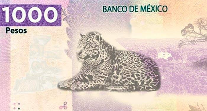 El 2020 podría terminar con nuevos billetes de 100 y mil pesos