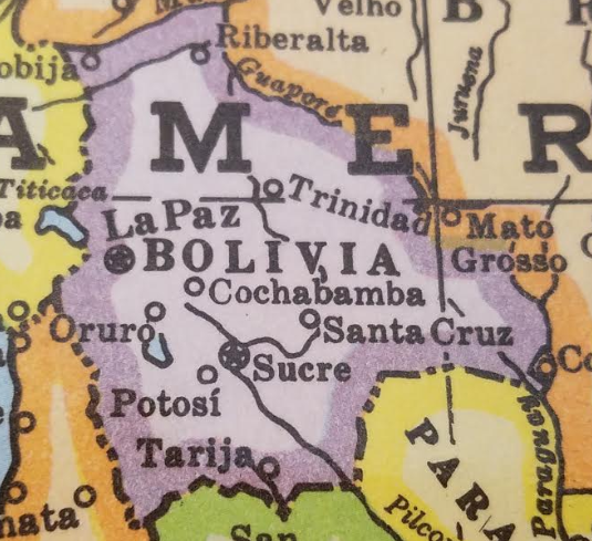 Preocupación de científicos por virus parecido al ébola en Bolivia