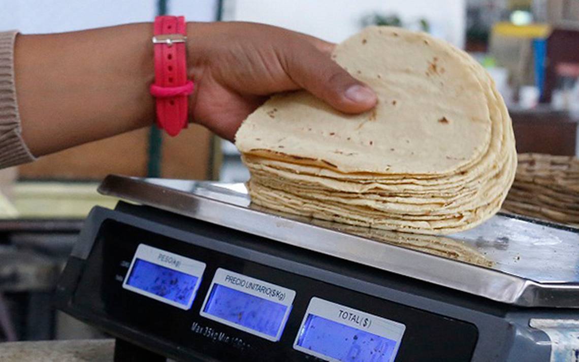 Esto es lo que pasará con el precio de la tortilla para el resto del año en el Valle de Toluca