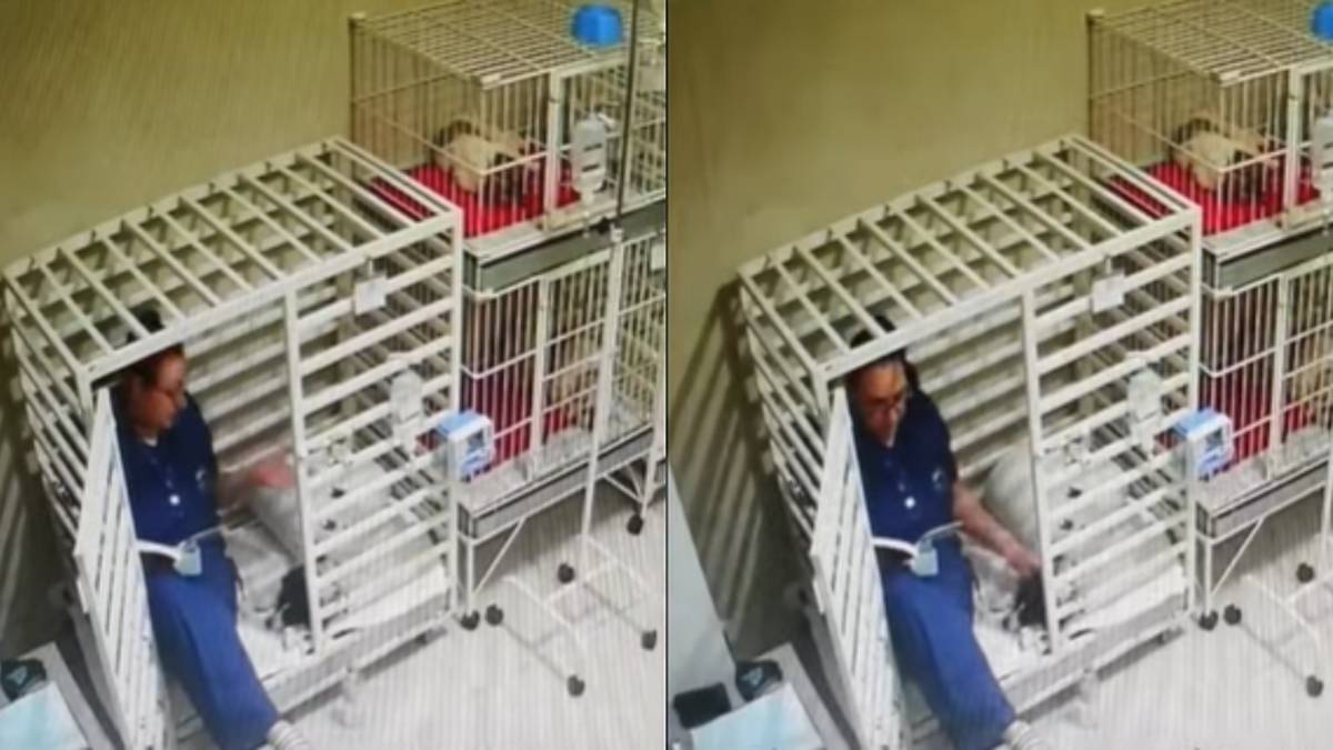 (VIDEO) Captan a veterinaria leyéndole un cuento a un perrito