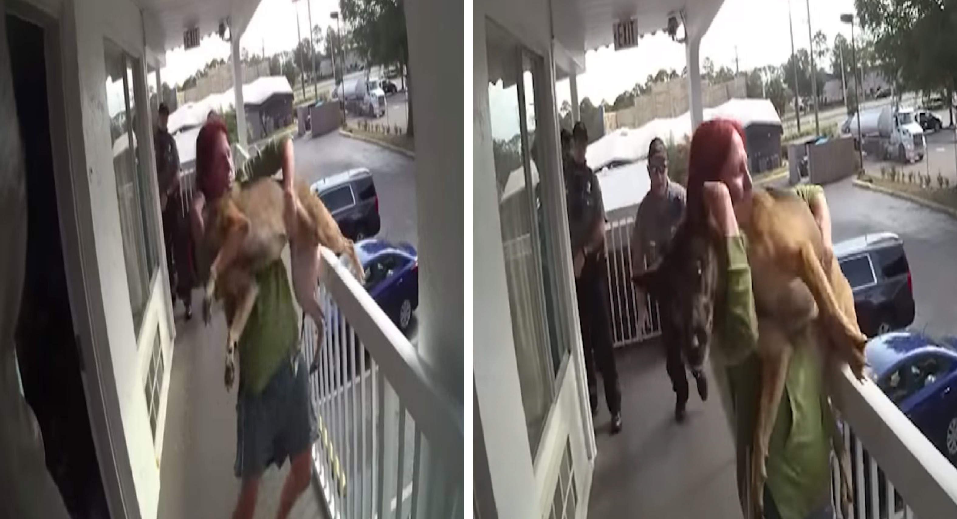 Mujer lanza a su perro desde un segundo piso y es arrestada || VIDEO