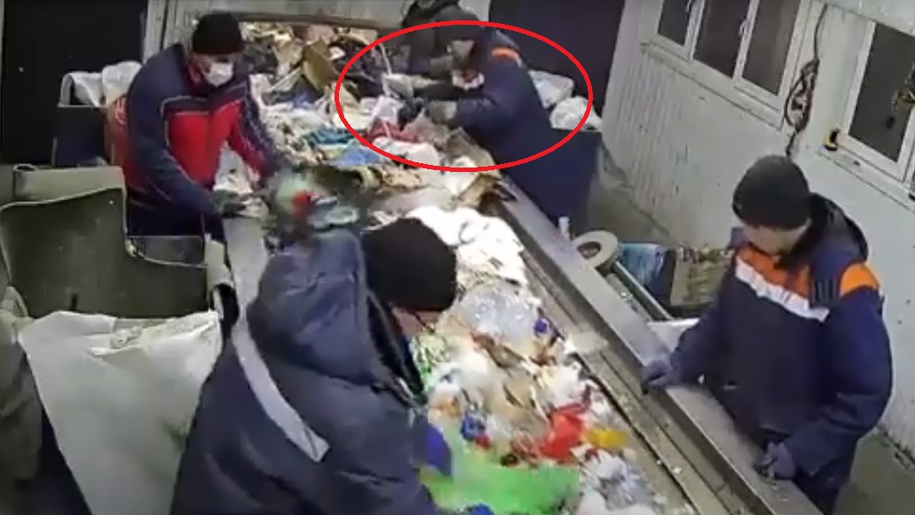 Video II Gatito es salvado de ser triturado en una máquina de desechos