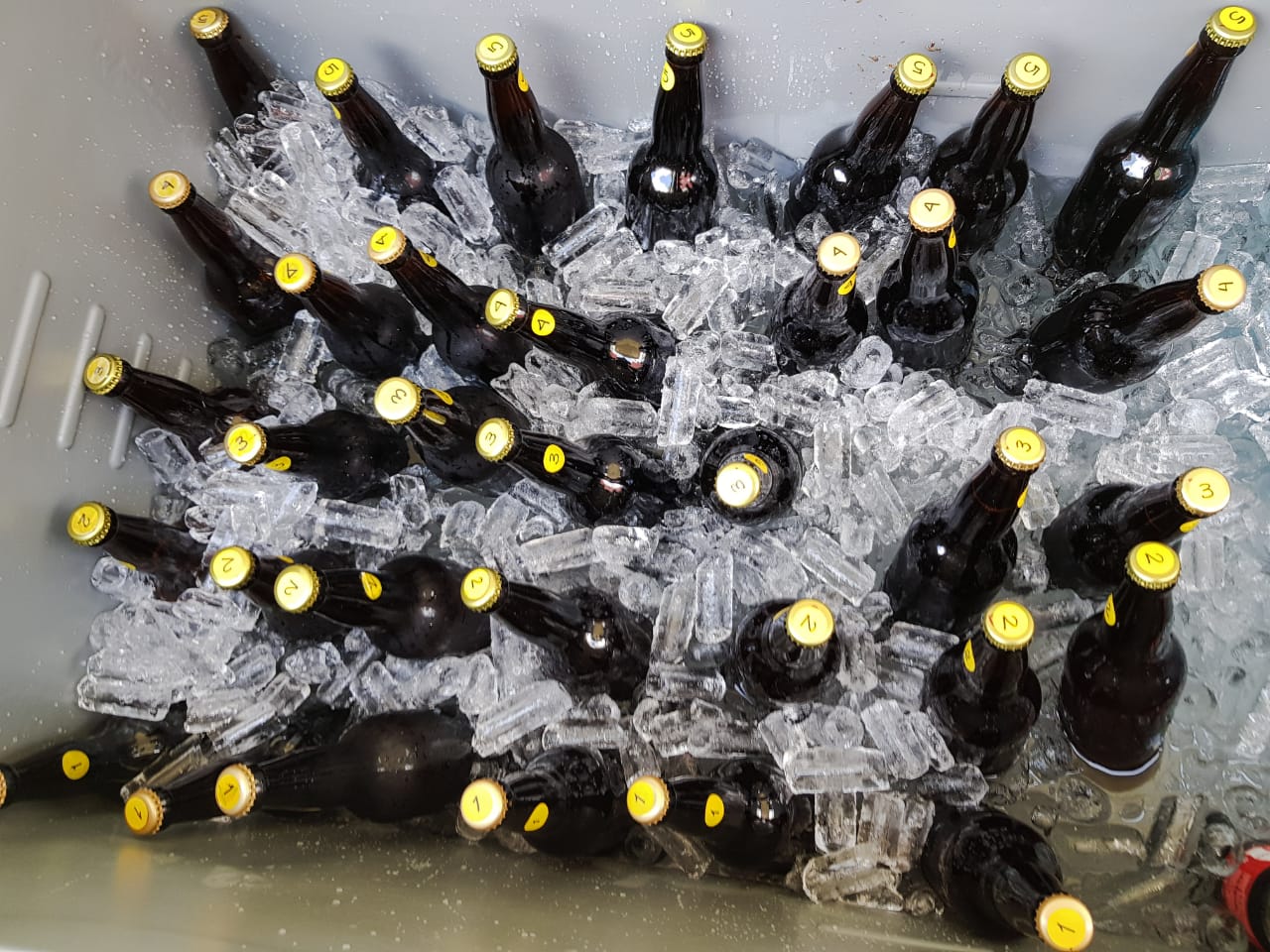 Sonora: Prohíben venta de cerveza fría o con hielos por el coronavirus