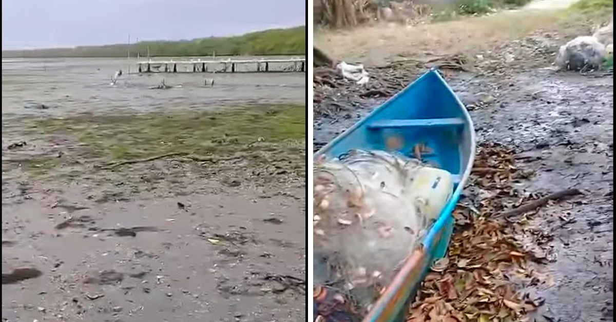 Veracruz: Laguna de Alvarado desaparece, quedó completamente sin agua || Video