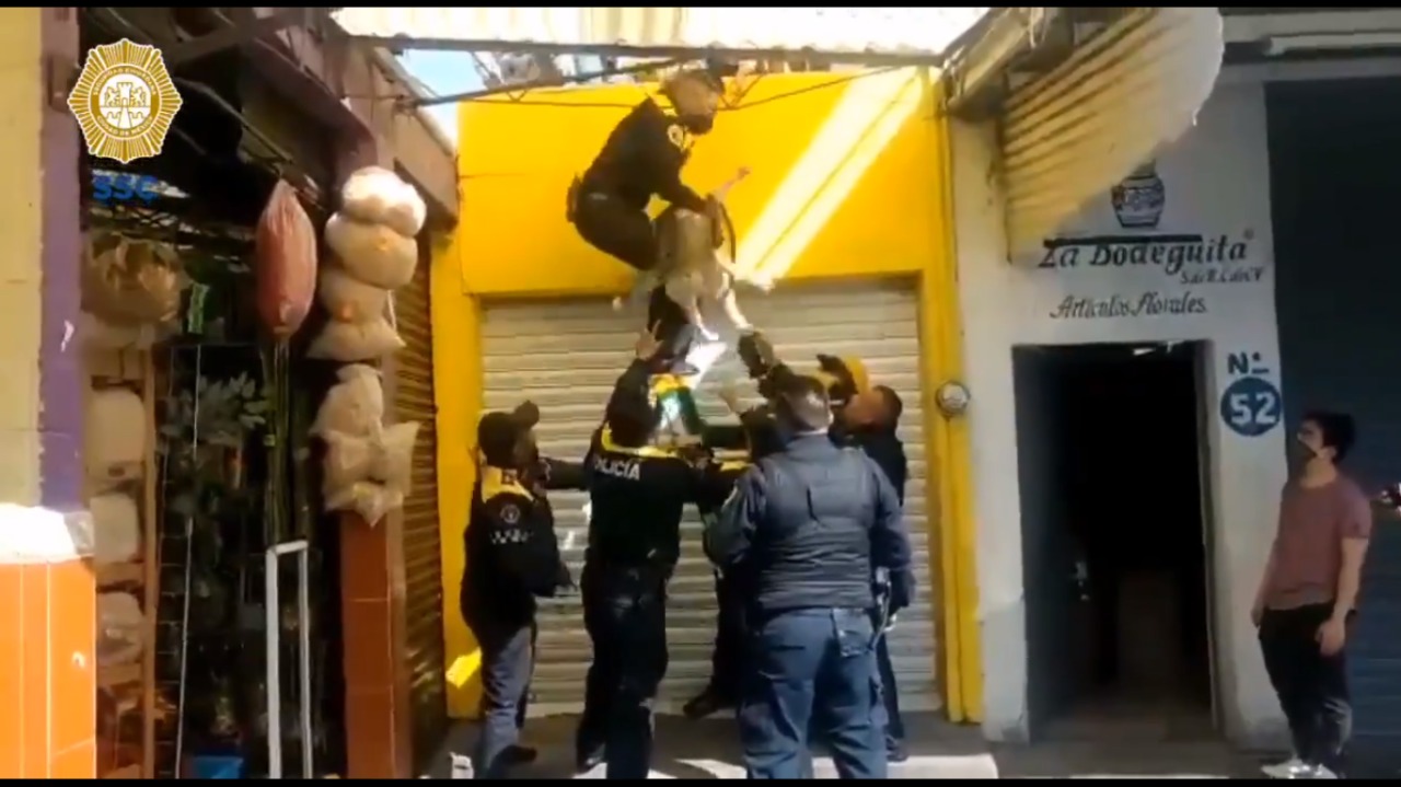Perrito es rescatado por policías durante incendio en Mercado de Jamaica || VIDEO