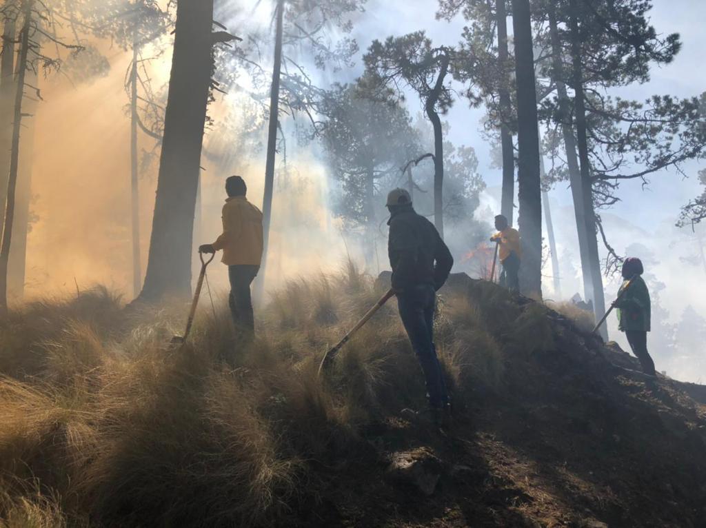 Por fuertes vientos, se activa incendio en Nevado de Toluca