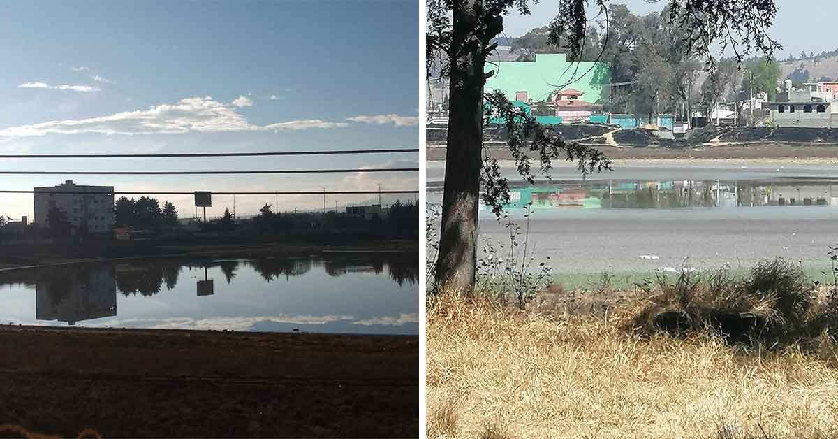 Edomex: Denuncian que la laguna de Ojuelos de Zinacantepec se está secando