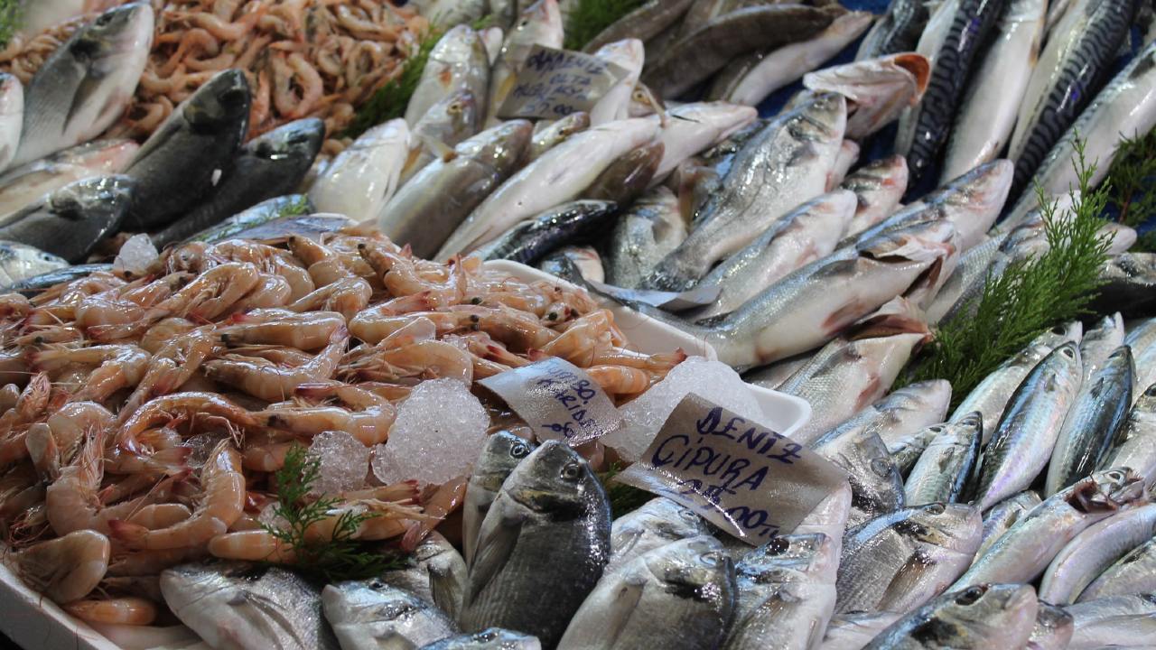 La Profeco da a conocer los precios de pescados y mariscos