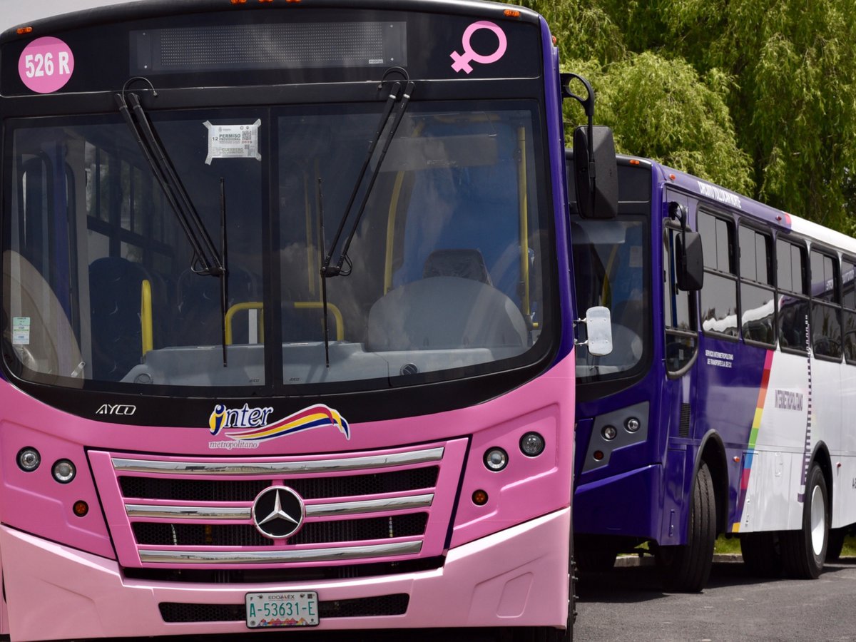 No hay recursos para ampliar rutas del transporte rosa en Toluca