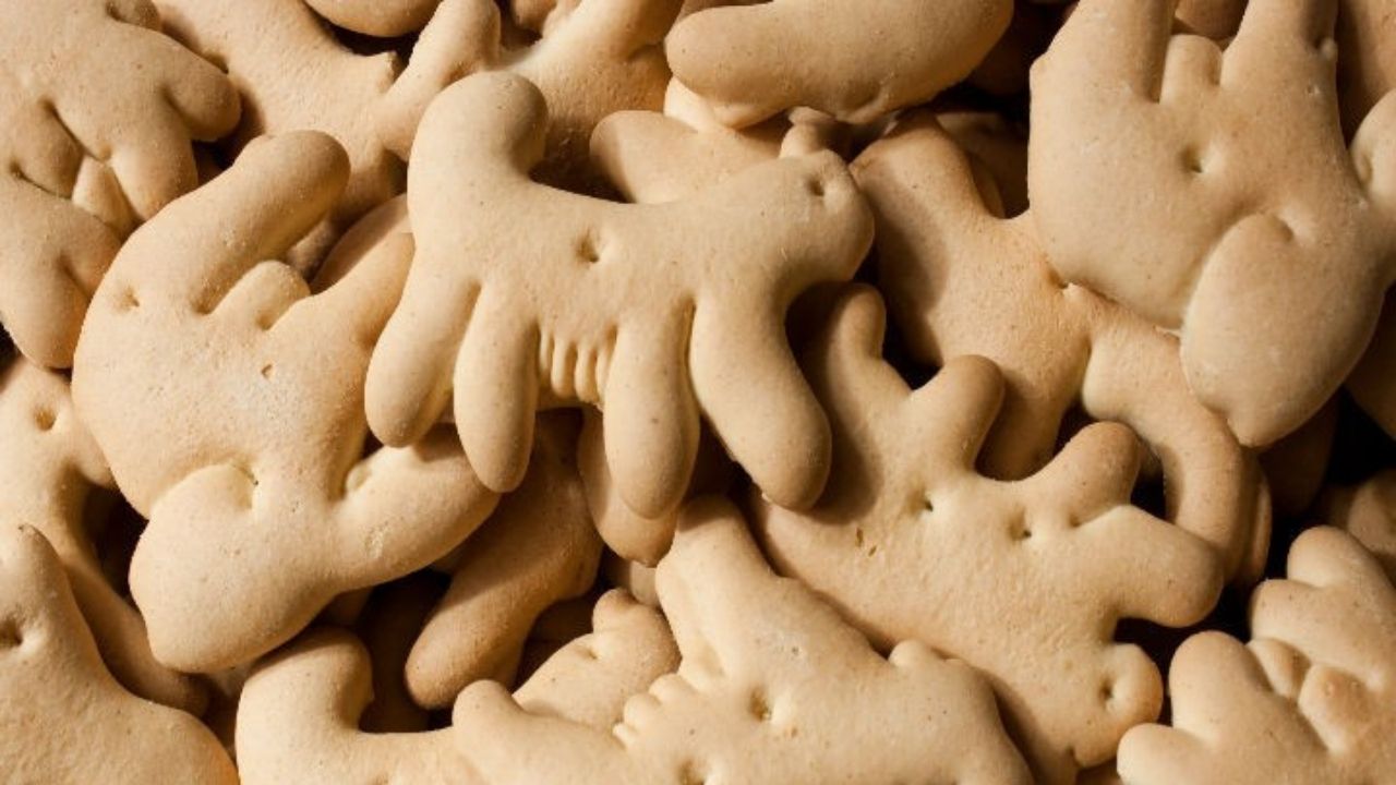 ¿Activistas veganos piden desaparecer galletas de animalitos? Esta es la verdad