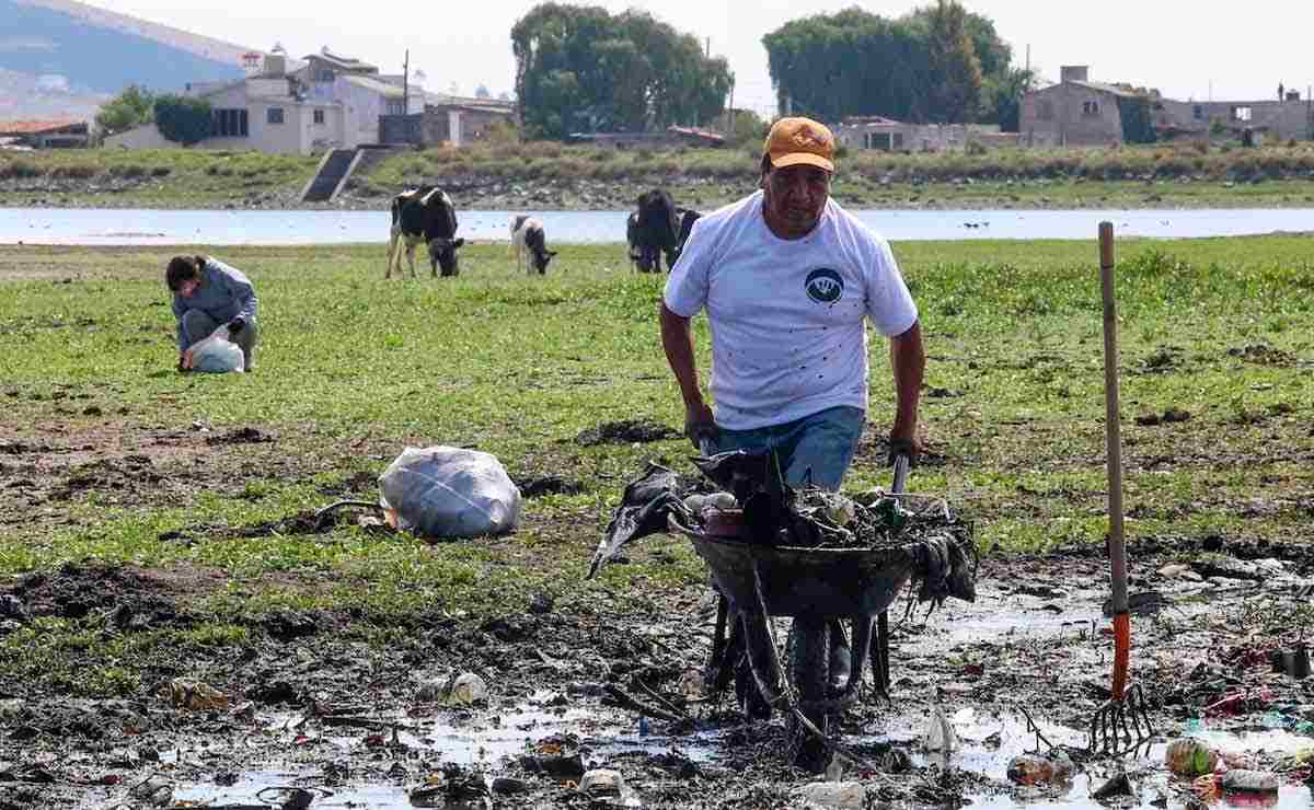 Ciudadanos limpian basura de la Laguna de Palmillas en Toluca