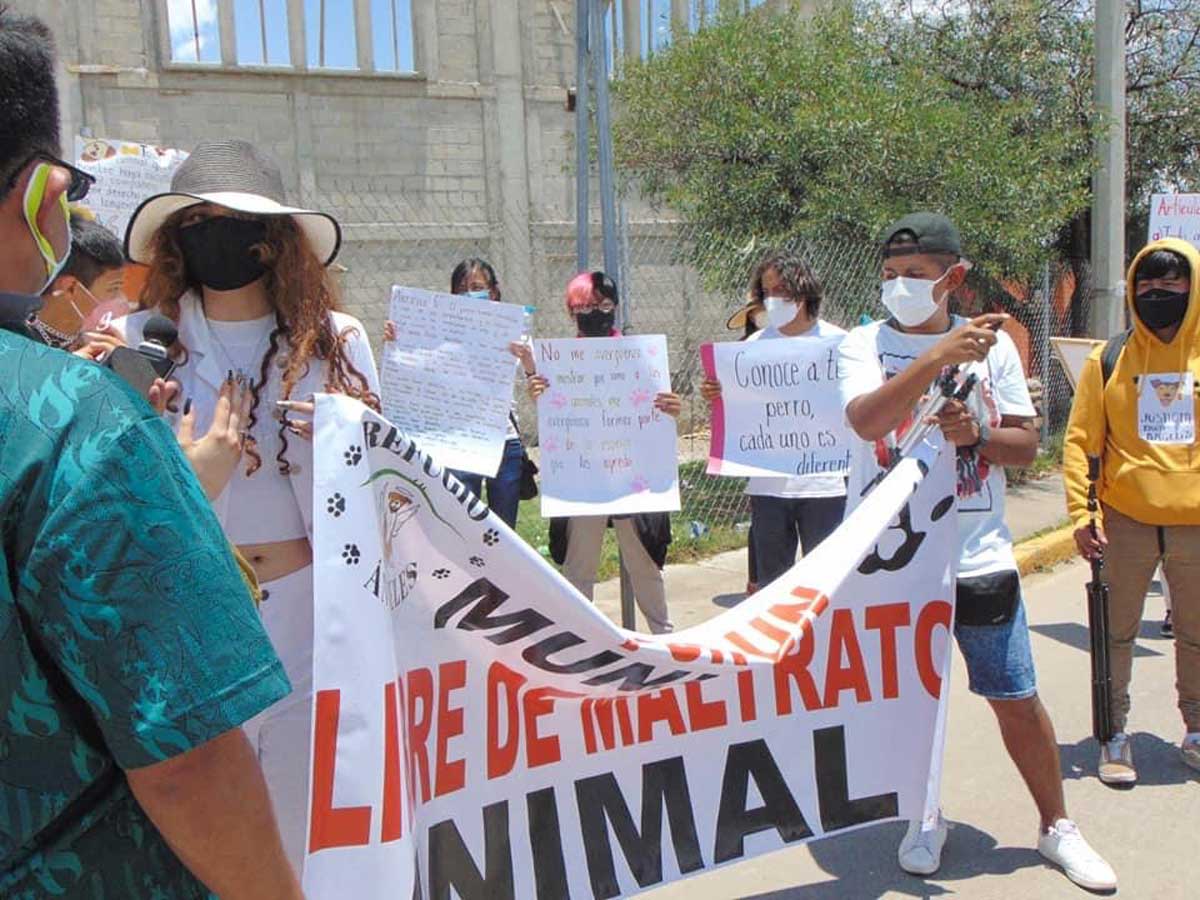 Vecinos de Jocotitlán marchan pacíficamente para pedir justicia por «Angelita»