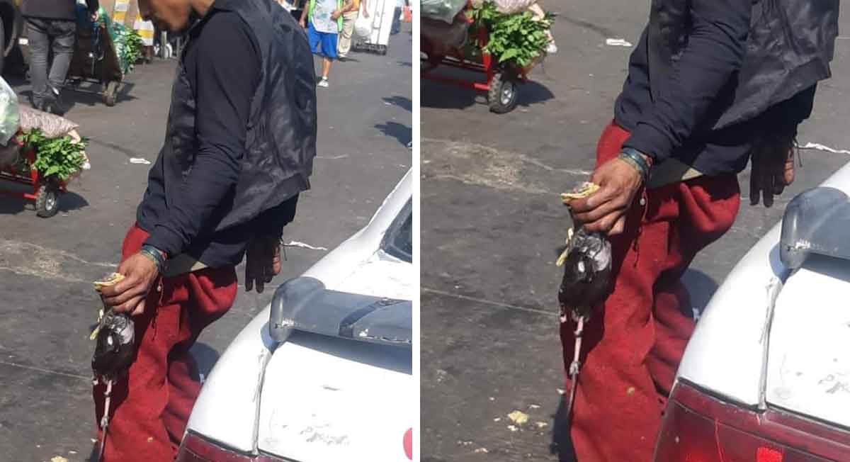 foto compartida en redes sociales donde se ve a un joven comiendo un taco de rata