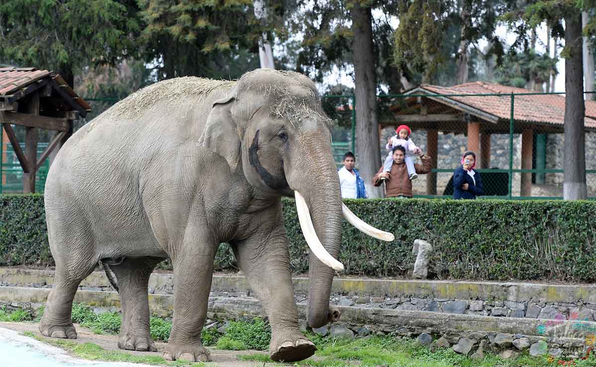 Zoológico de Zacango Horarios y costos