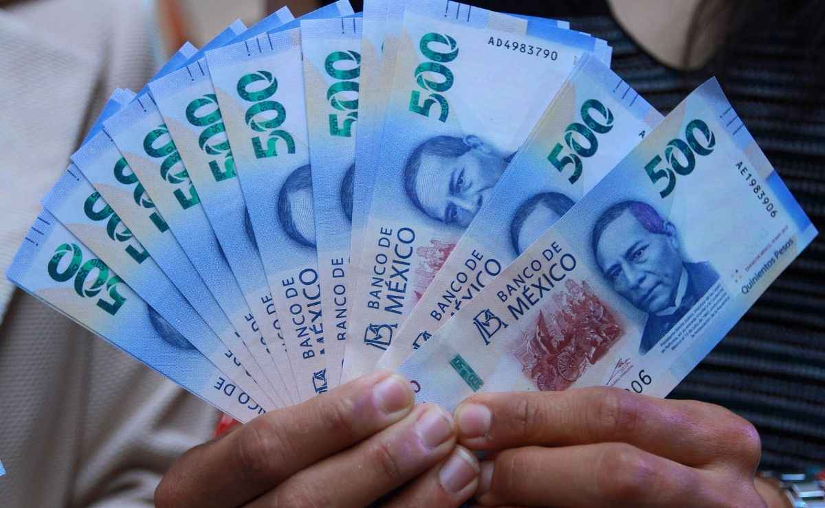 Becas Elisa Acuña 2021 – ¿Cómo solicitar apoyo de 18 mil pesos?