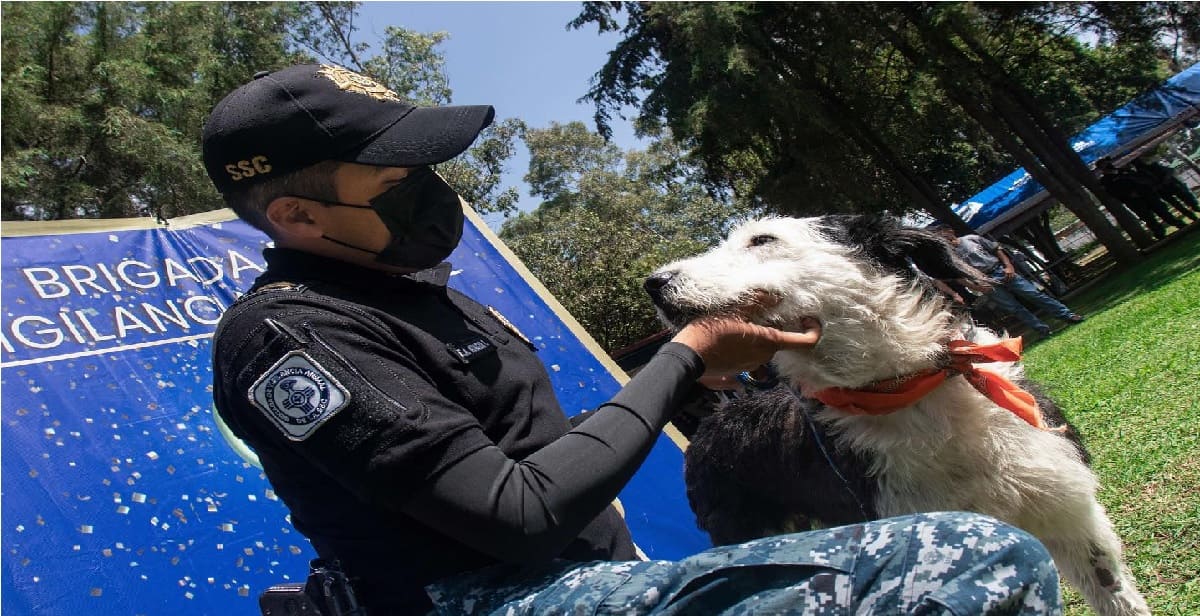 SSC cumple 16 años de rescatar y adoptar perritos maltratados