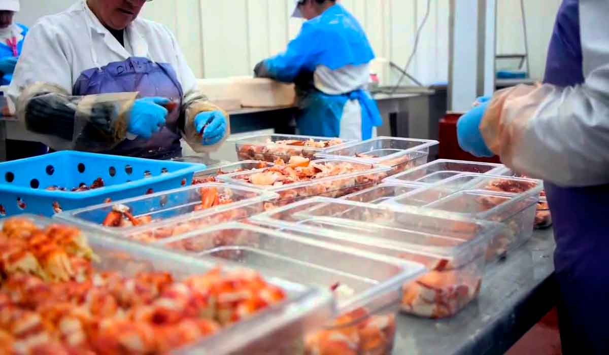 Empresa en canadiense ofrece vacantes para laborar en planta pesquera con sueldos de hasta 36 mil pesos mensuales