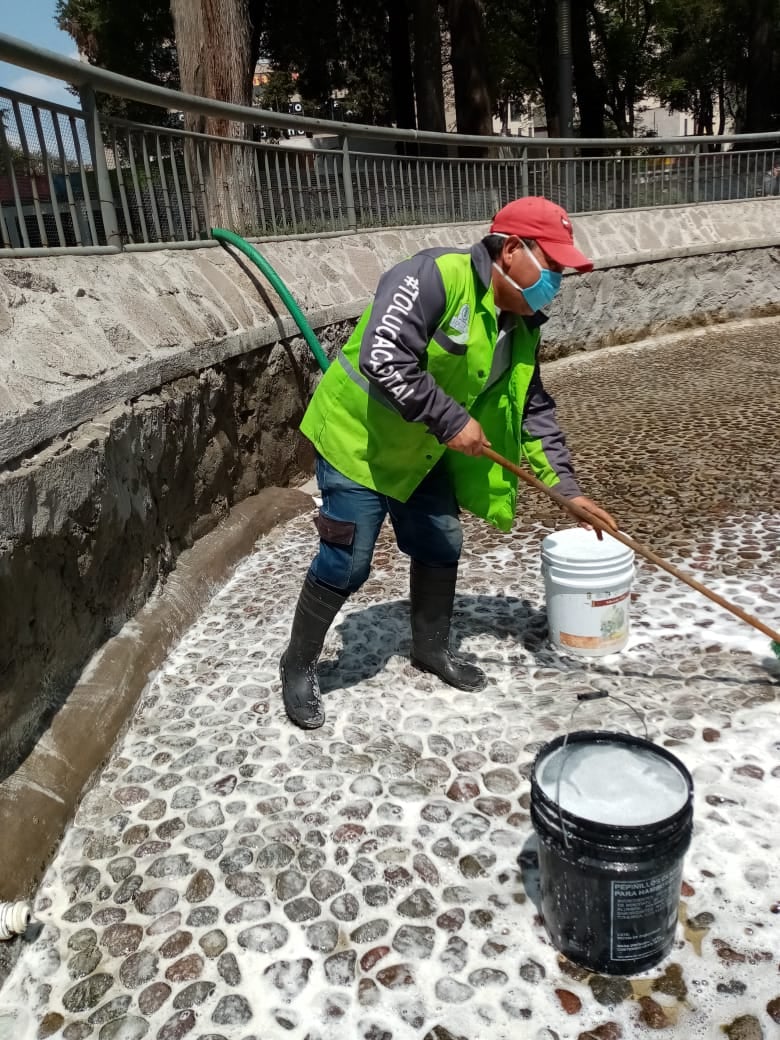 Toluca brinda mantenimiento a estanque de patos en Alameda Central