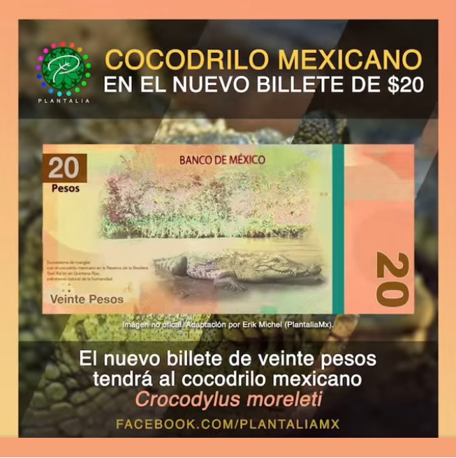 diseño de nuevos billetes de 20 pesos de mexico
