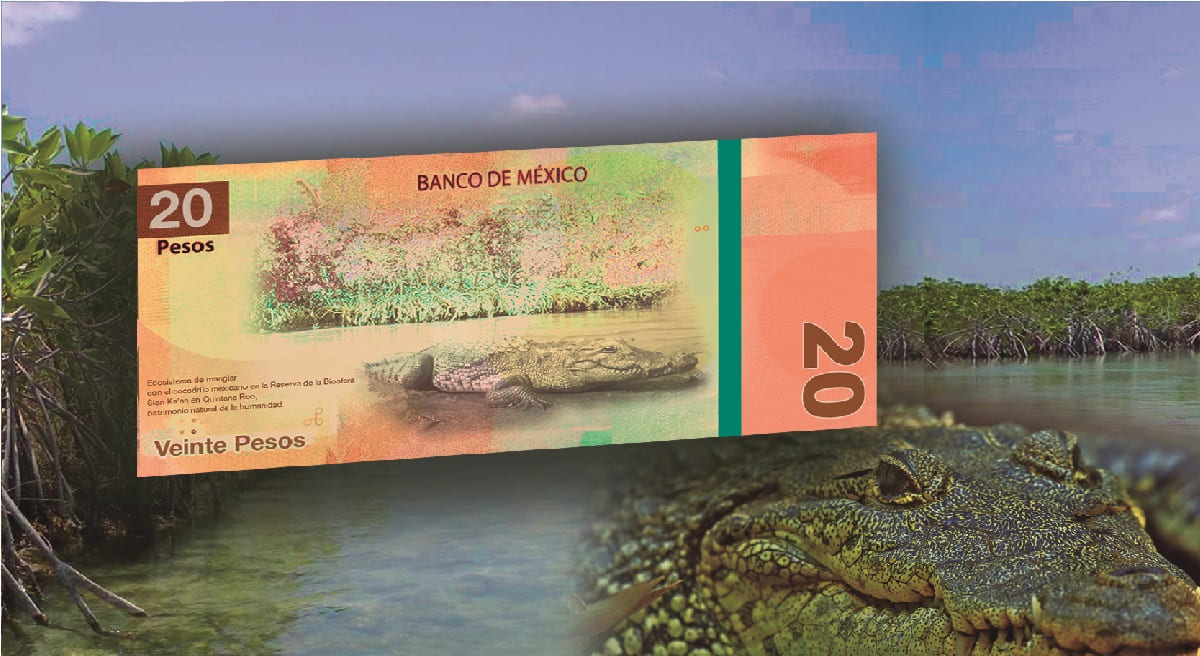 Así serán los nuevos billetes de 20 y 50 pesos que tendrá México