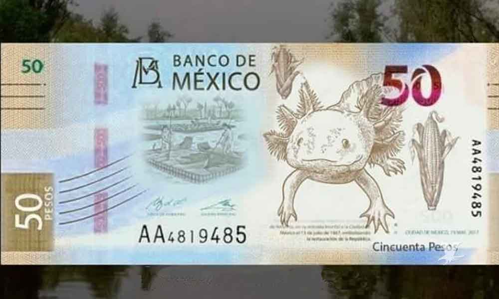 nuevo billete de 50 pesos de banxico