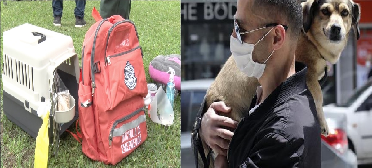 ¿Cuál es el contenido de la mochila de emergencia para mascotas?